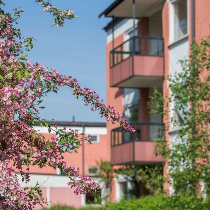 Levertinsgatan 5, 75430, Uppsala - Photo 1