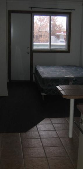 1 1/2 - Montréal (Le Plateau Mont-Royal) - 1 150 $/mois - Photo 1