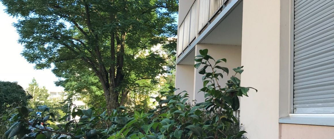 Appartement T3 en location à Toulouse - Photo 1