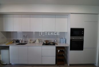 Badalona, La Morera, Barcelona, Catalonia 08918