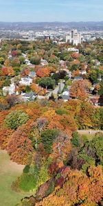 Grand 4 1/2 récent à Sillery *LIBRE IMMÉDIATEMENT* - Photo 3