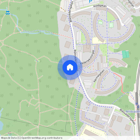 Göteborg, Blåsvädersgatan, 16, 41832