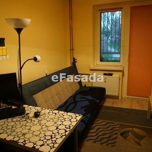 EFS-MW-170 Mieszkanie na wynajem - Photo 1