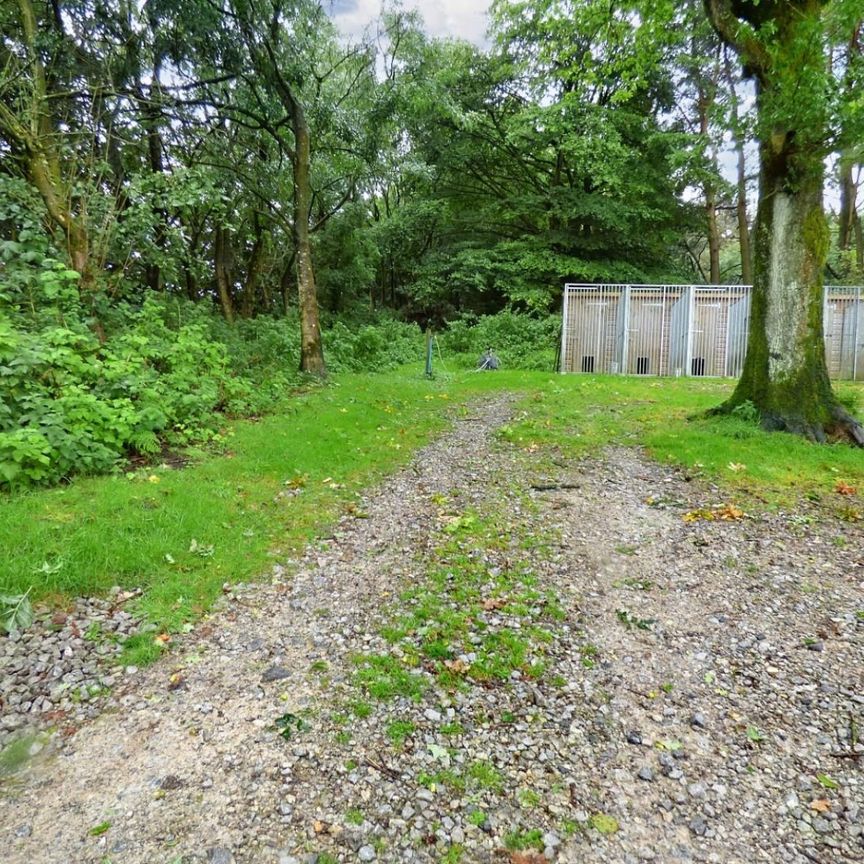 2 bedroom House To Let - Photo 1