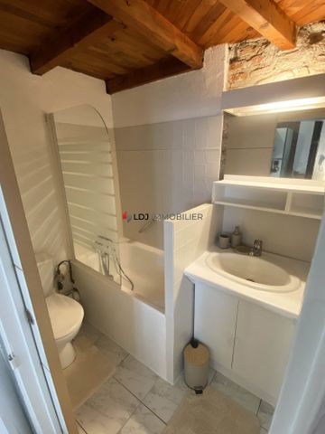 Location Appartement 1 pièce 26m² PERPIGNAN 66000 - Photo 4