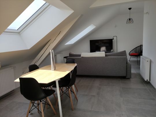 Location Appartement 3 pièces 42m² BELFORT 90000 - Photo 1