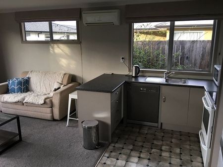 1BR Unit in Scenic Lake Hayes - Photo 5