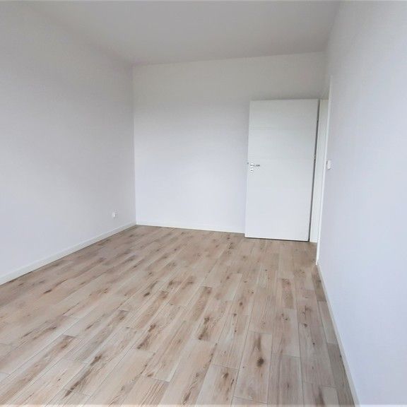 Nowy segment do wynajęcia! (415267) - Photo 1