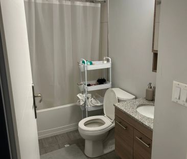 338 Albert Street #219 - Photo 5