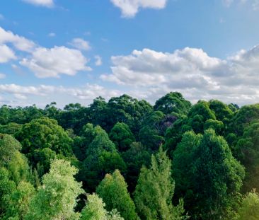 441/9 Epping Park Drive,Epping,New South Wales 2121, Sydney - Photo 1