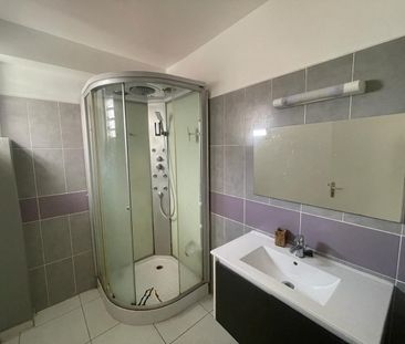 Location Appartement 3 pièces 60m² CAYENNE 97300 - Photo 4