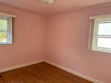 For Lease - 274 Elmwood Avenue, Toronto, Ontario - Photo 5