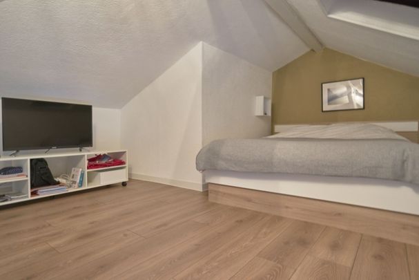 CLERIN Roommate 4 Bedrooms at Nancy - Photo 1