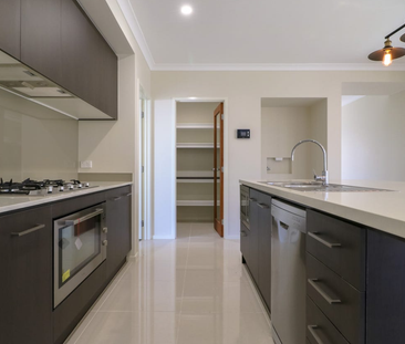 38 Opossum Cct, Springfield Lakes QLD 4300 - House For Rent | Domain - Photo 4