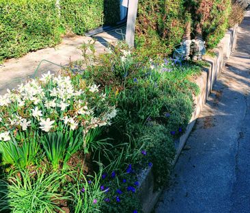 Grycksbovägen, Stockholm - Foto 2