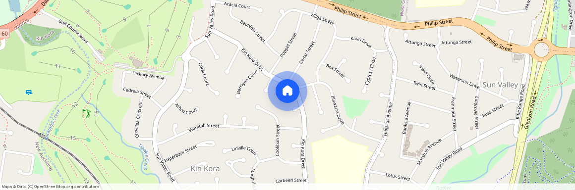 4 Bluegum Court, Qld 4680, Kin Kora