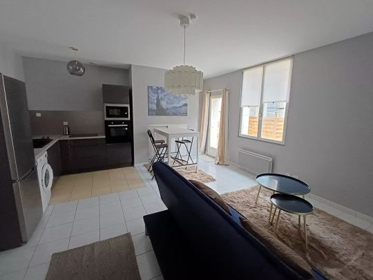 RARE - Charmant T2 meublé avec grande terrasse ? Vieux Tours - Photo 1