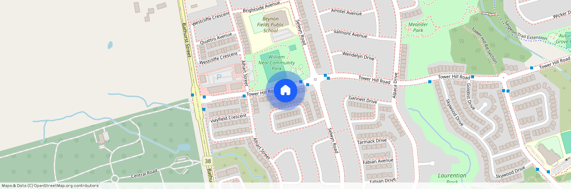 341 Tower Hill Road, Richmond Hill