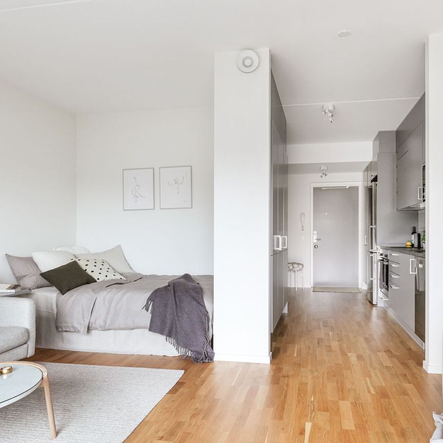 Rosenapelgatan, Göteborg - Photo 1