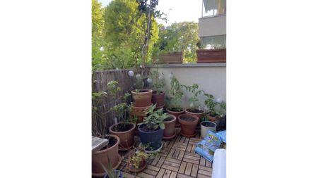 2.5 Zimmer, 1. Stock - Photo 3