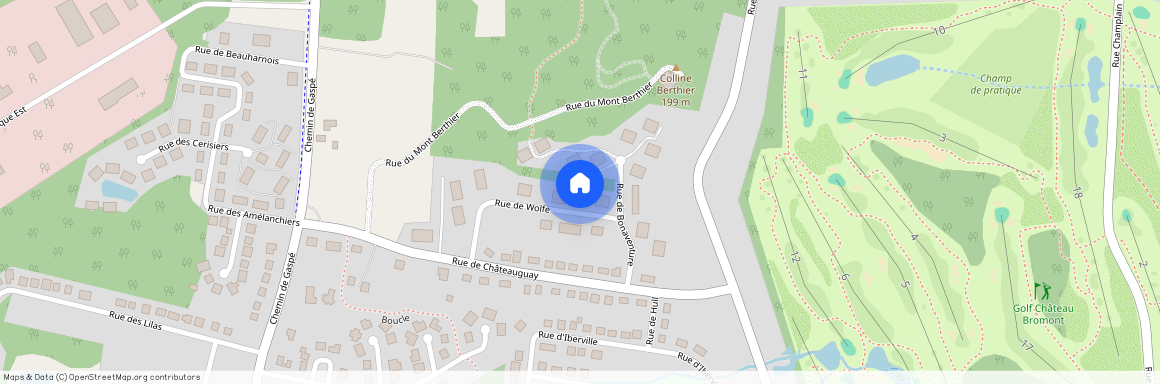 110 Rue de Wolfe, Bromont, Bromont, Estrie, J2L 1J1