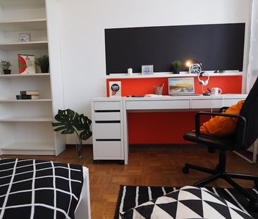 Corso Luigi Einaudi, Turin, Piedmont 10129 - Photo 5