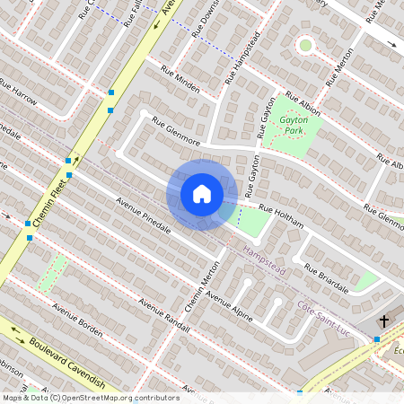 68 Rue Holtham, Hampstead, H3X 3N4