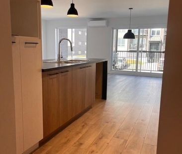 Logement 5 1/2 - Février ou Mars 2026 - St-Jérôme/Bellefeuille - Photo 2