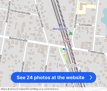 16556 BORGSDORF - Photo 1