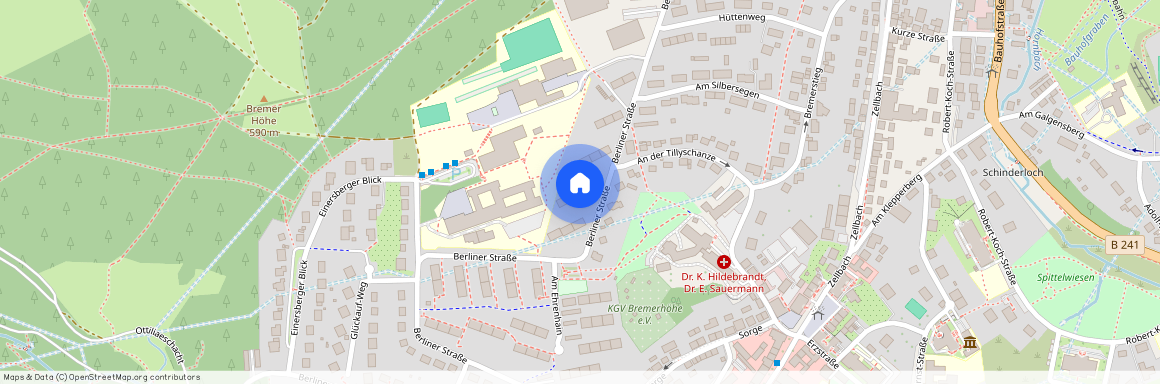 Berlinerstr. 38, 38678 Niedersachsen - Clausthal-Zellerfeld