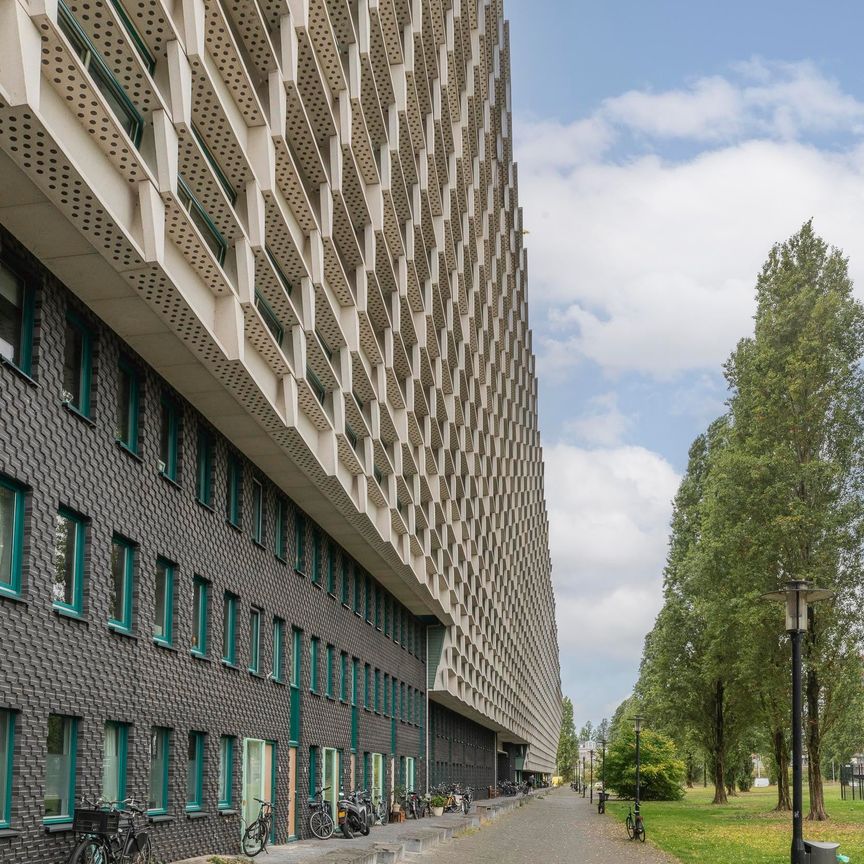 Te huur: Appartement Borneolaan 229 in Amsterdam - Foto 1