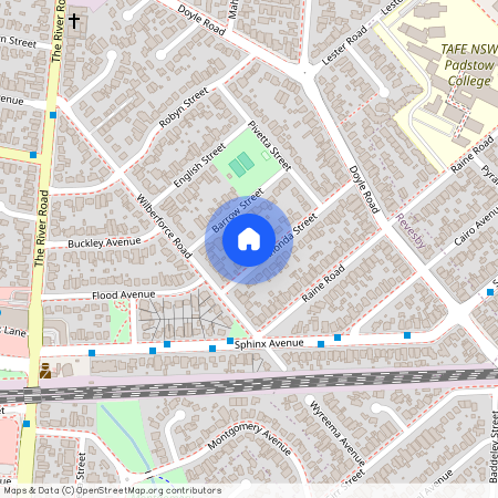 16A Rhonda Street, NSW 2212, Revesby