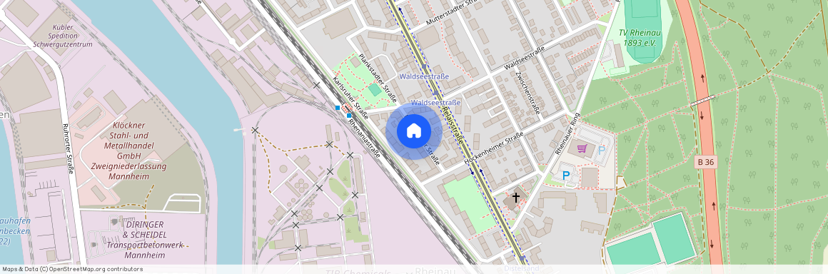 Plankstadter Str. 34, 68219, Mannheim