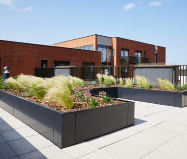 Studio to rent - Photo 5