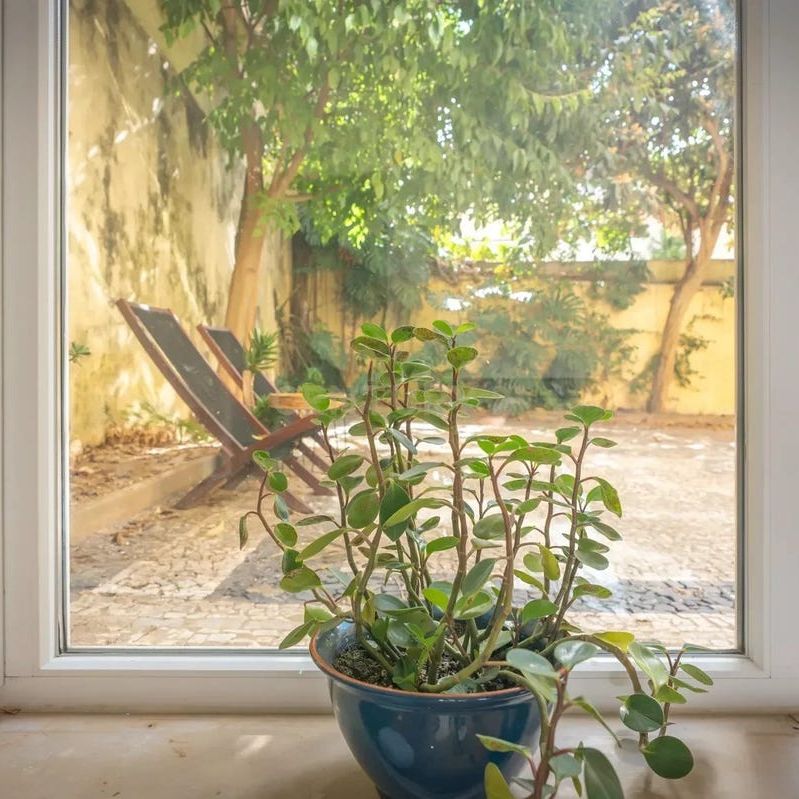 Campo de Ourique, Lisbon - Photo 1