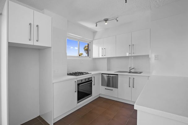 56/21 Duxford Street, Paddington NSW 2021 - Apartment For Rent | Domain - Photo 1