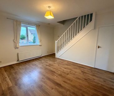 Blackthorn - Photo 2