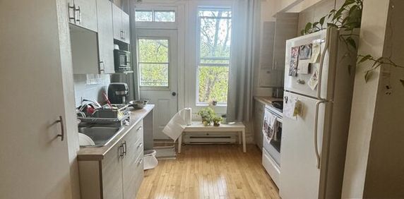 Villeray - Beau 3 1/2 Lumineux - Photo 2