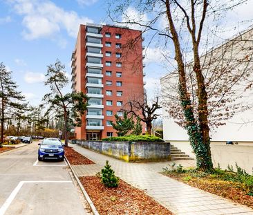 3 Zimmer, 82 m², 10. Stock - Foto 6