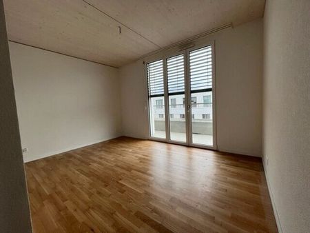 LE TICLE : Appartements neufs à louer - Photo 3