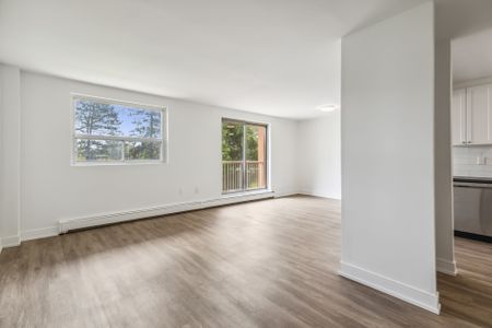 For Lease - 1580 Adelaide Street Unit# 395, London North, Ontario - Photo 4