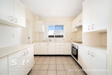 Tree-lined Street, Spacious Living - Photo 4