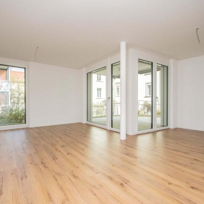 Wohnen im Neubau: 2.5 Zimmer-Wohnung im Erdgeschoss nahe Zentrum - Photo 1