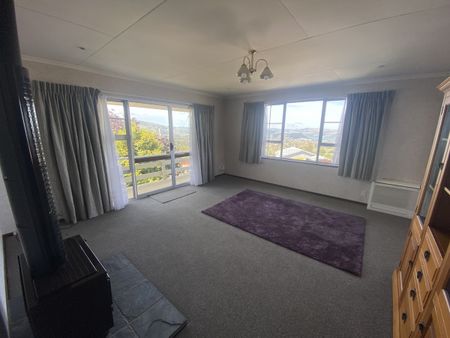 Sunny on Strode - Photo 2