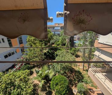 Studio/Γκαρσονιέρα για ενοικίαση Ανάβυσσος Κέντρο (Ανάβυσσος) - Photo 4
