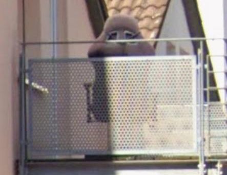 Wognung zu vermieten ab 1.11.25 - Photo 1