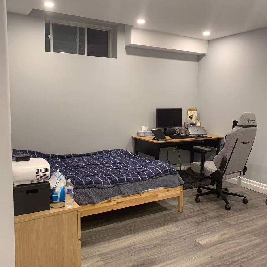 For Lease - 56 STELLE Lane Unit# Basement, Hamilton, Ontario - Photo 1