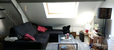 Appartement 2 pièces à Nantes - Photo 2