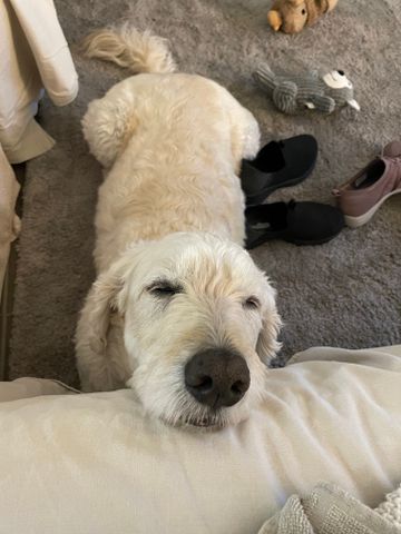 White Rock - Photo 3