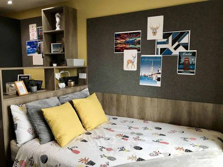 Standard Studio - Photo 5